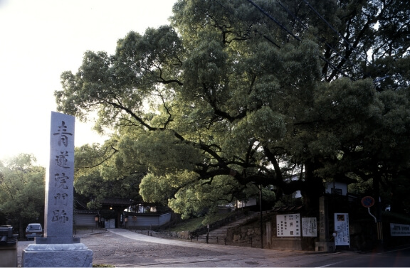 青蓮院門跡